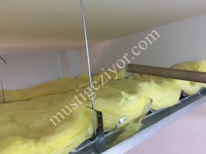 IMG 0938