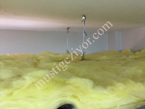 IMG 0939